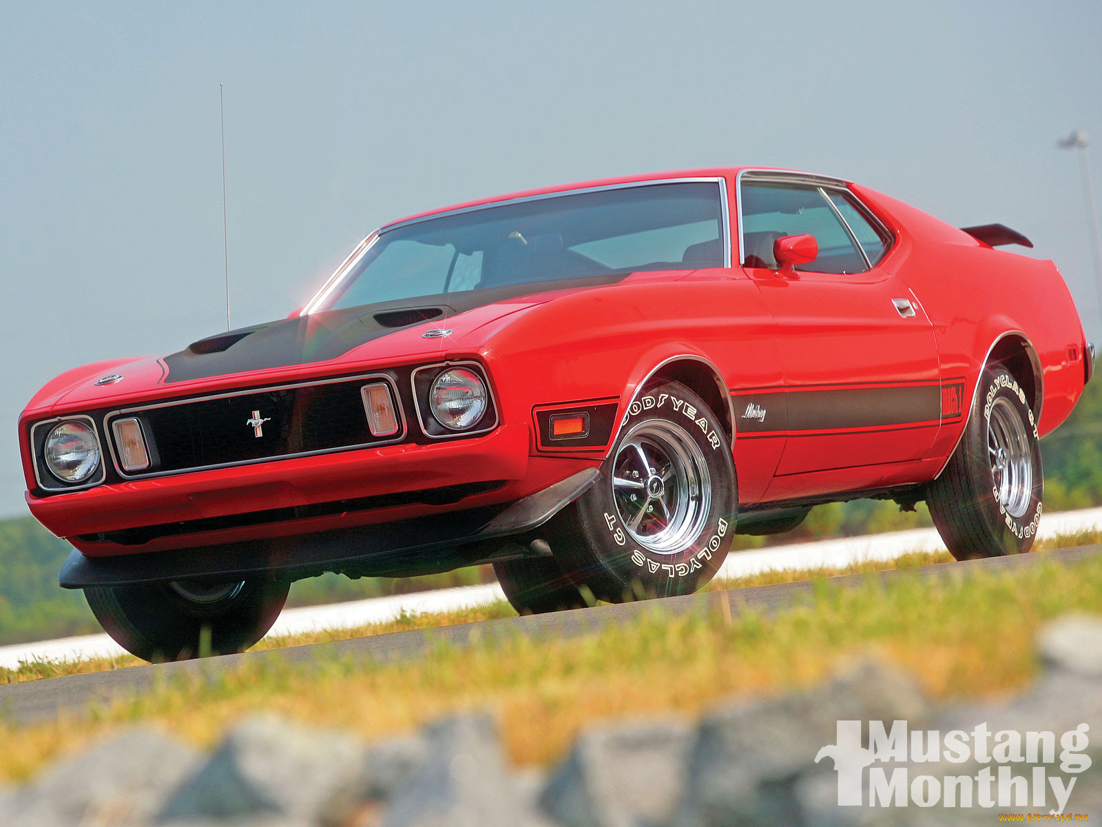 , mustang